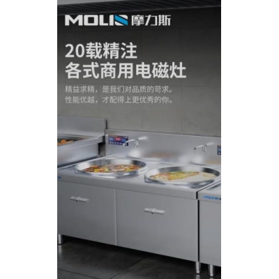 摩力斯MLS-A商用电磁灶双头灶台15KW/40CM（带两口直径50CM炒锅）